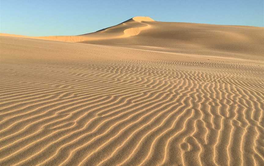 Sand Dune Safaris, Anna Bay, NSW