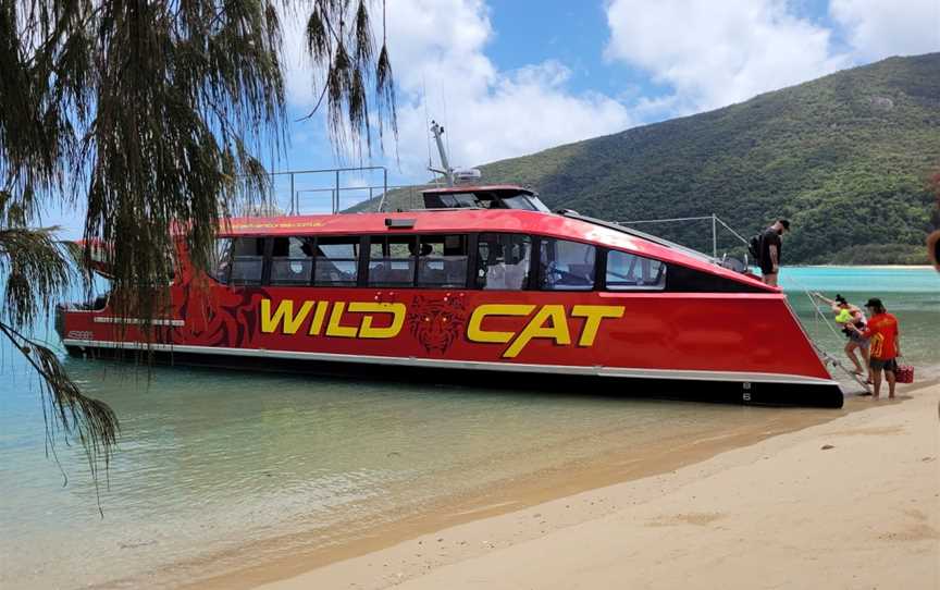 Wildcat Mackay, North Mackay, QLD