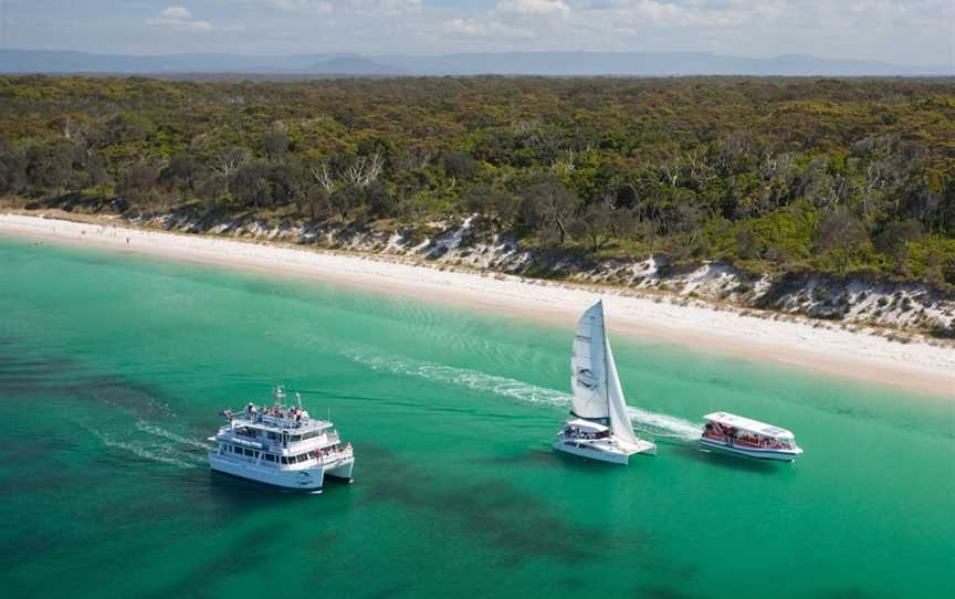 Dolphin Watch Cruises, Huskisson, NSW