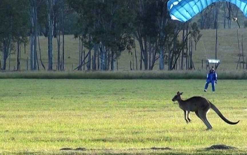 Skydive Ramblers Toogoolawah, Toogoolawah, QLD