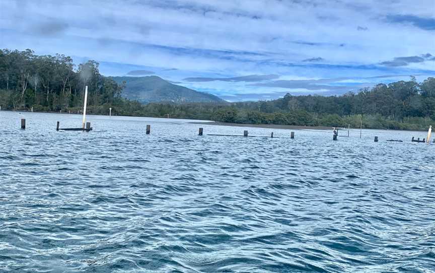 Wagonga Inlet Cruises, Narooma, NSW