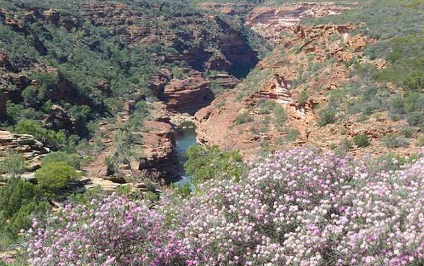 Kalbarri Adventure Tours, Kalbarri, WA