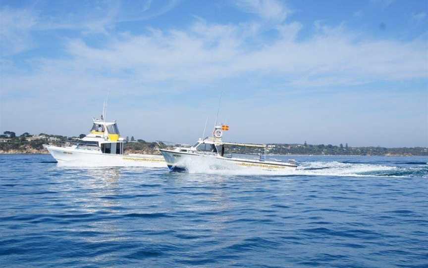 Proline Fishing Charters, Sorrento, VIC