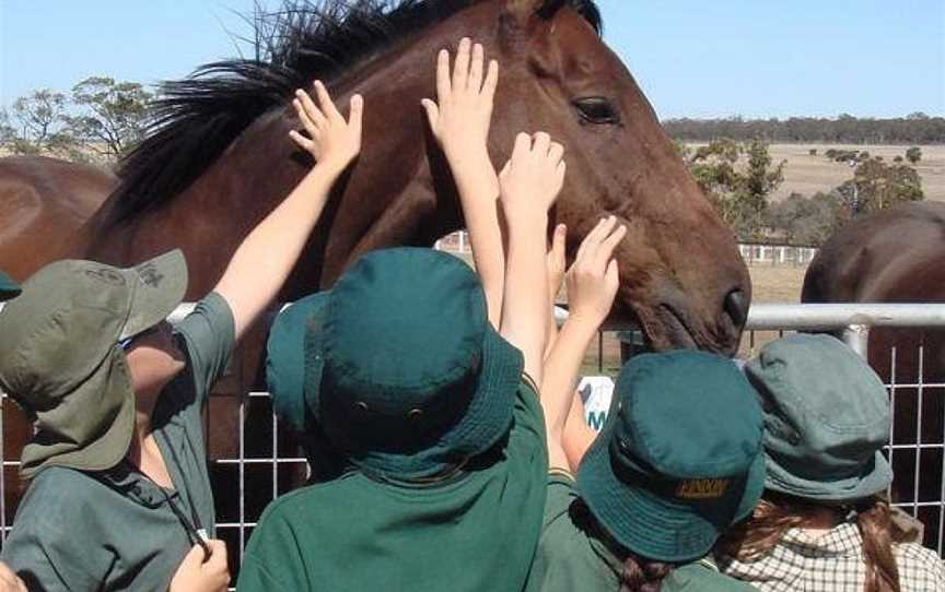 Living Legends, Greenvale, VIC