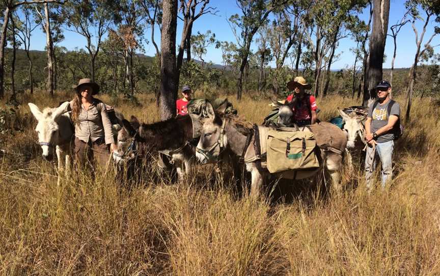 Wilderness Expeditions Tasmania Pty Ltd, Tasmania, TAS