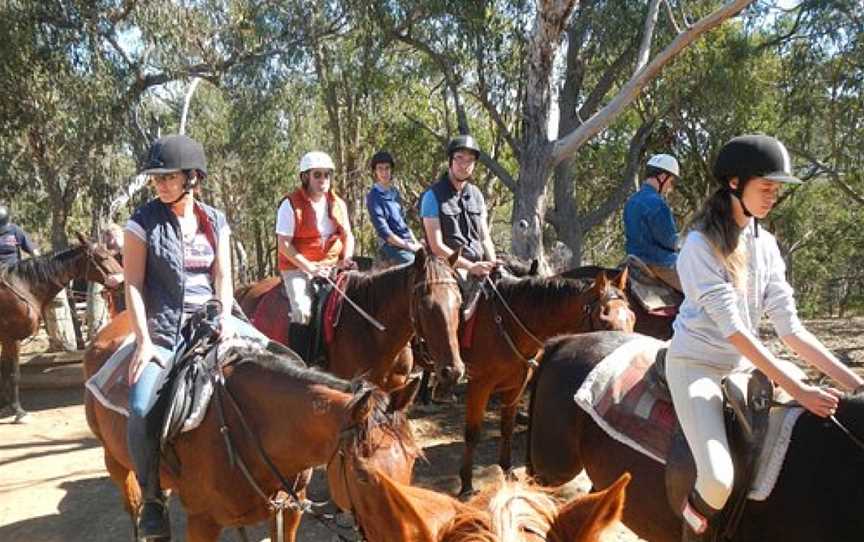 Uncle Nev's Trail Rides, Upper Plenty, VIC