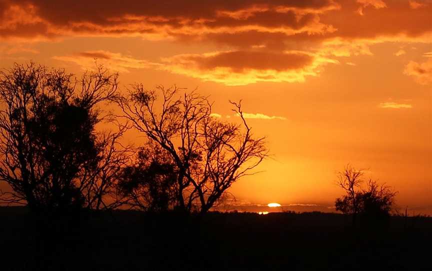 Murraytrek 4WD Outback Adventure Day Tours, Mildura, VIC