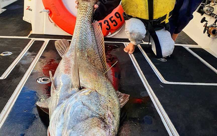 Wildside Sportfishing, South West Rocks, NSW