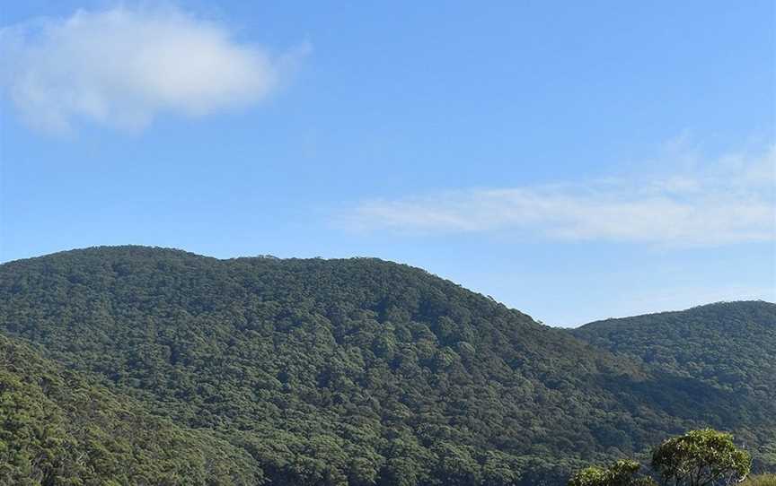 Refuge Cove Cruises, Port Welshpool, VIC