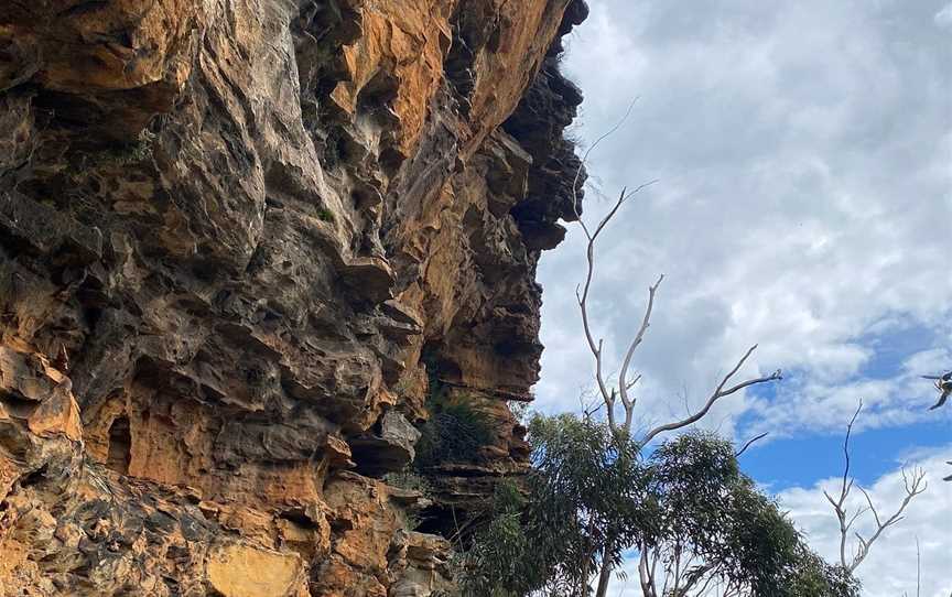 Tread Lightly Eco Tours, Blue Mountains National Park, NSW