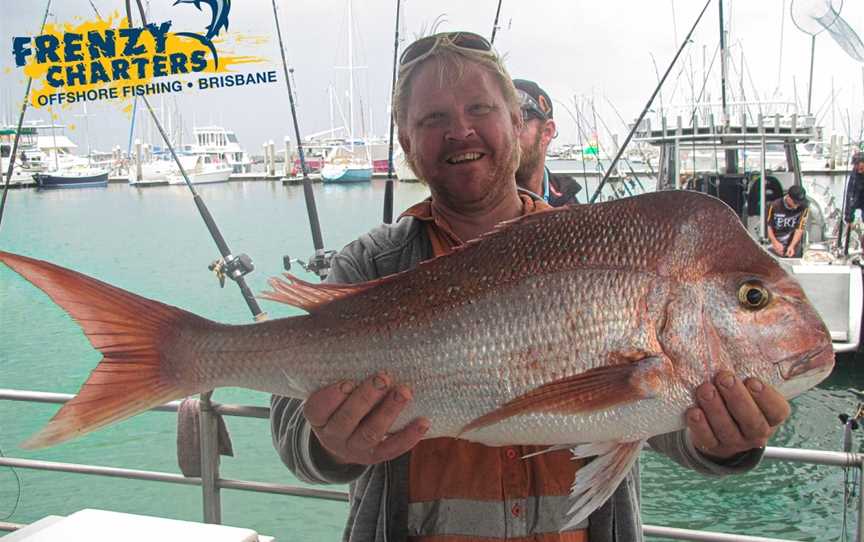 Frenzy Charters, Brisbane, QLD