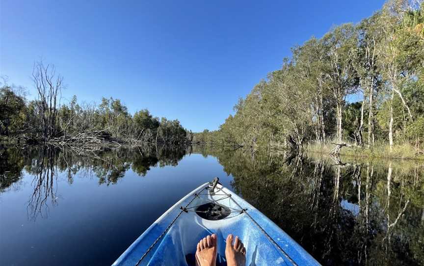 Moondoggie Beach & Bush Tours, Agnes Water, QLD