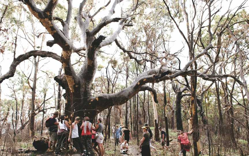 Girri Girra Aboriginal Experiences, Gosford, NSW