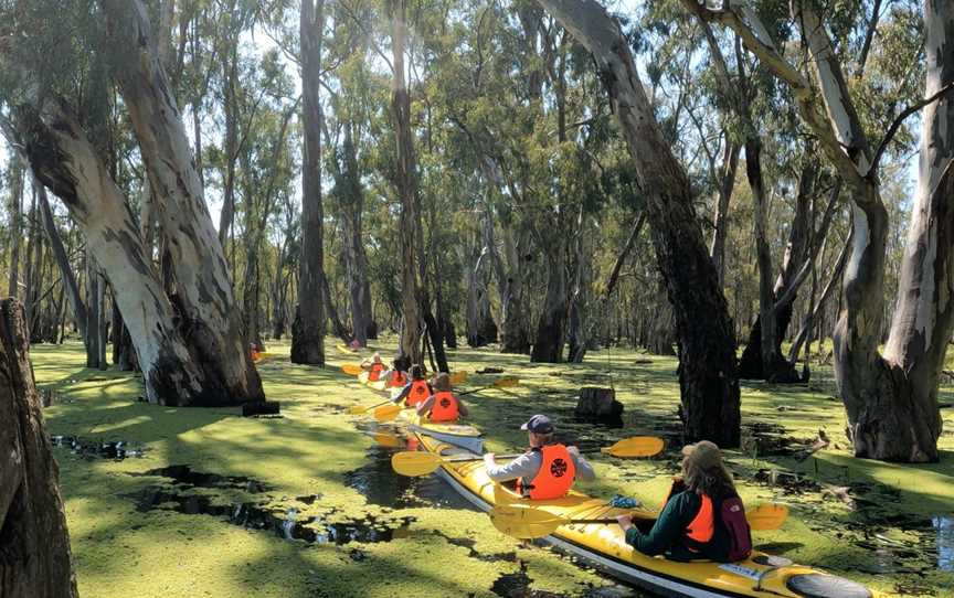 Murray River Adventures, Cohuna, VIC