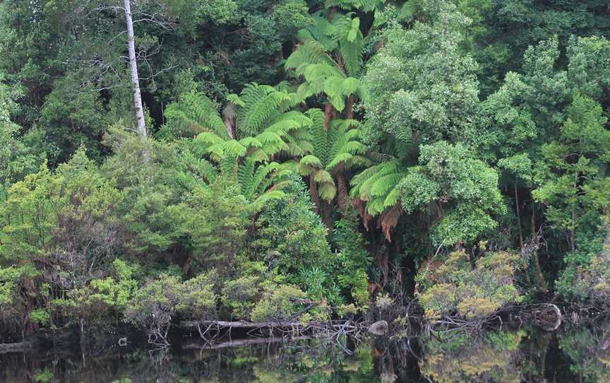 West Coast Yacht Charters - Day Tour, Strahan, TAS