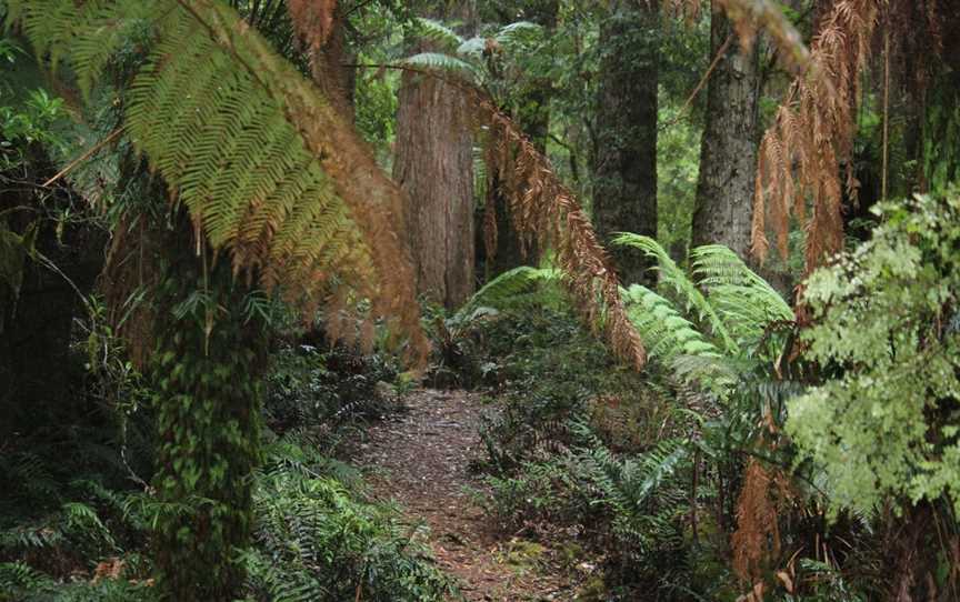 Tall Timbers Adventure Tours, Smithton, TAS