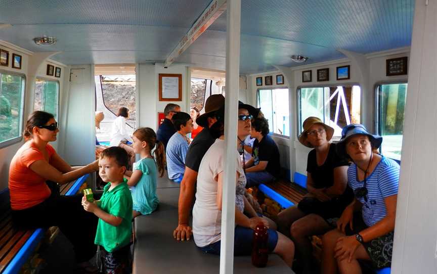 Dolphin Ferry Cruises, Tin Can Bay, QLD