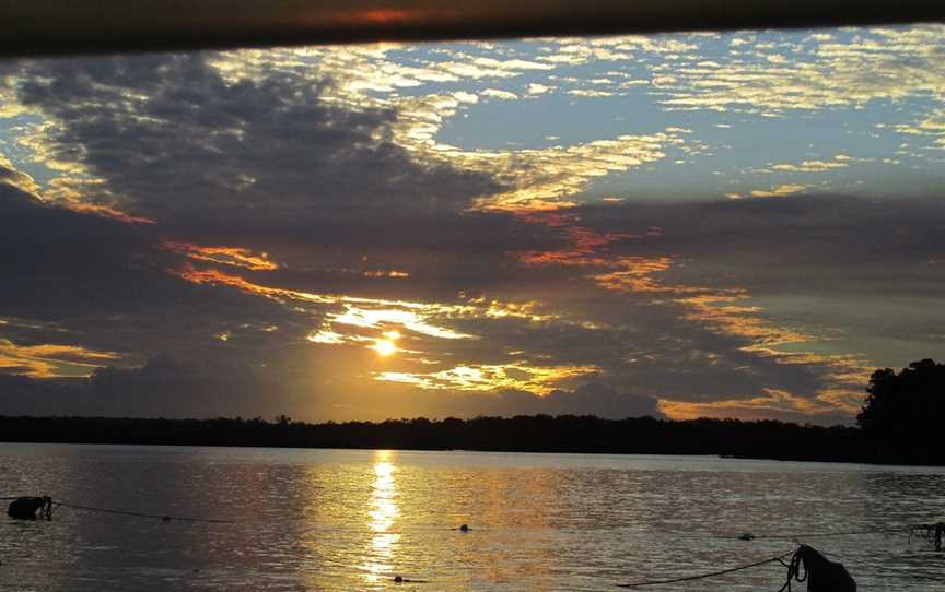 Dolphin Ferry Cruises, Tin Can Bay, QLD