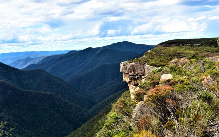 Wildscape Adventures, Sydney, NSW