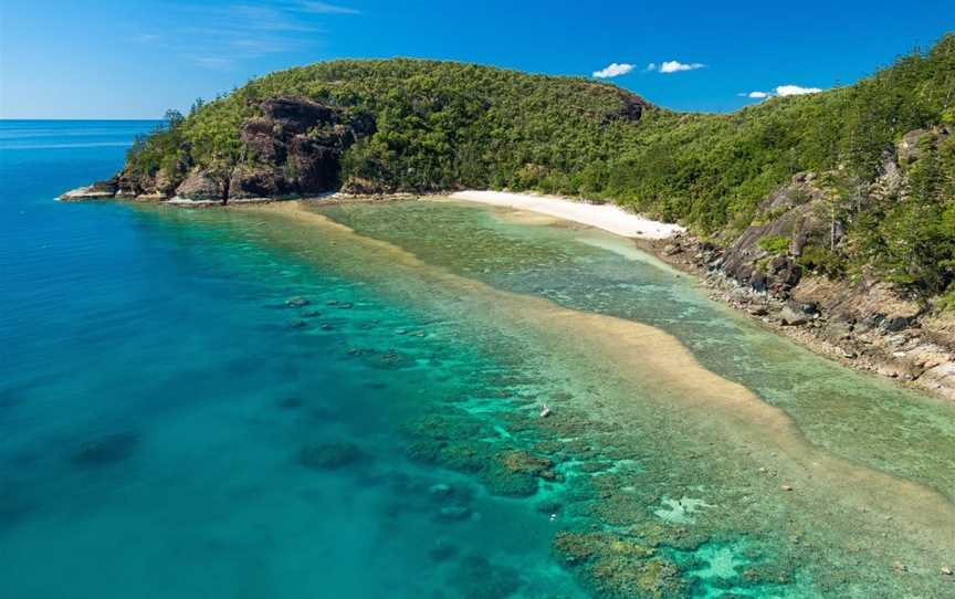 Scamper Island Camping, Shute Harbour, QLD