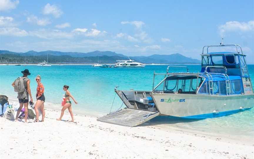 Scamper Island Camping, Shute Harbour, QLD