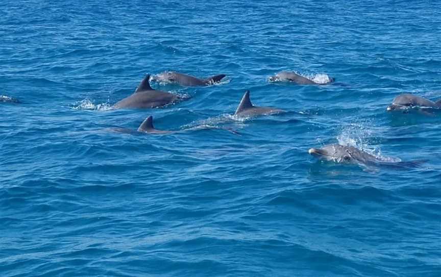 Noosa Thriller, Noosaville, QLD