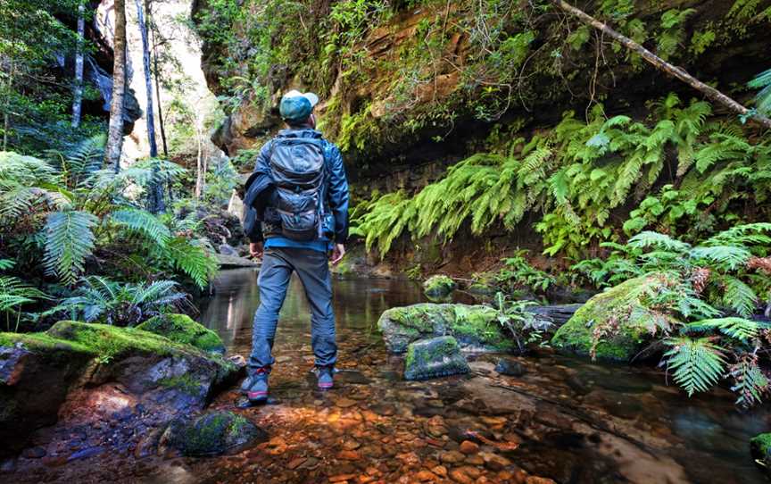 Mt Dan's Adventures, Blue Mountains National Park, NSW