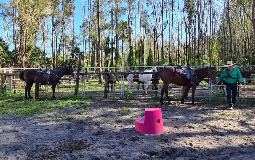 Horse About Tours, Tuncurry, NSW