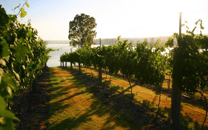 Mountain Wine Tours, Brisbane, QLD