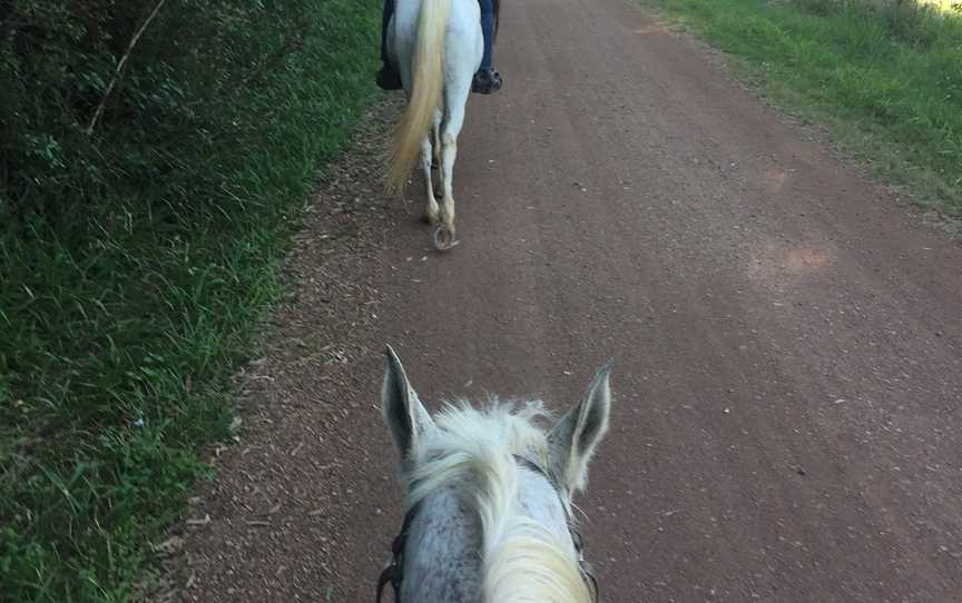 Mary Valley Adventure Trails - Day Tours, Amamoor, QLD