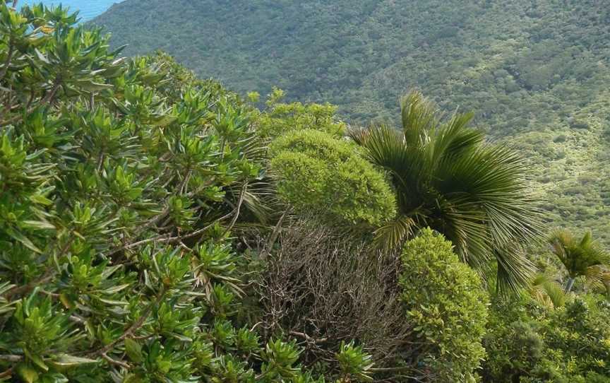 Lord Howe Island - Sea to Summit Expeditions, Lord Howe Island, NSW