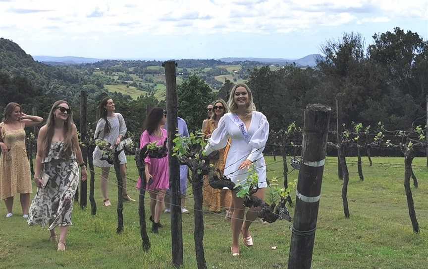 Mystic Mountain Tours, Montville, QLD