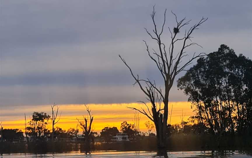 Renmark River Cruises, Renmark, SA