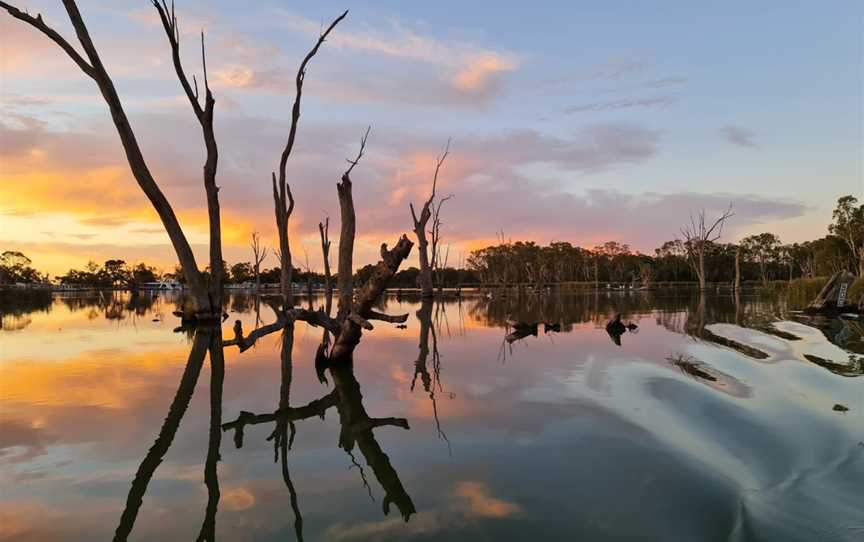 Renmark River Cruises, Renmark, SA