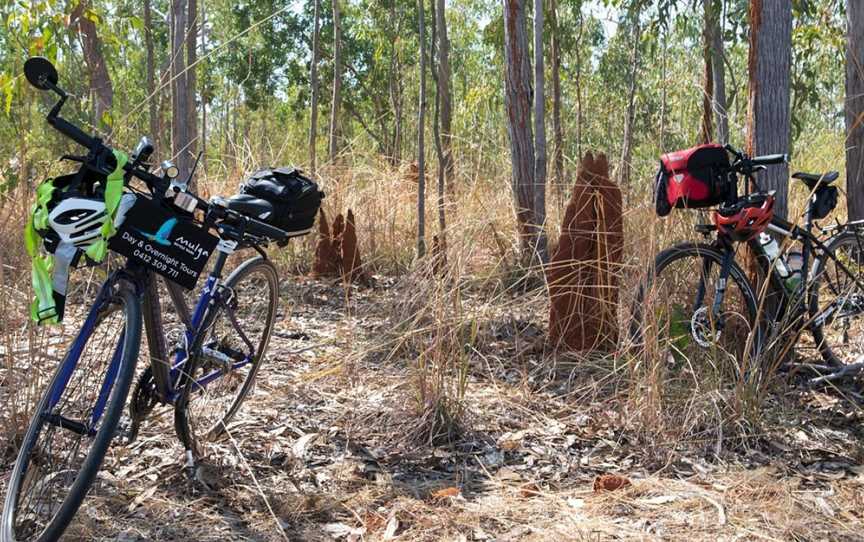 Mulga Bicycle Tours, Canberra, ACT