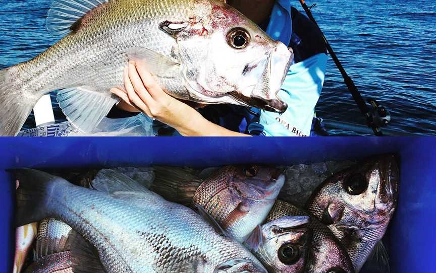 Moreton Island Fishing Charters, Brisbane, QLD