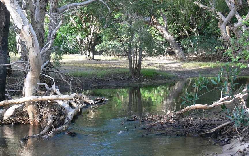 Off Road Adventure Safaris, Bamaga, QLD