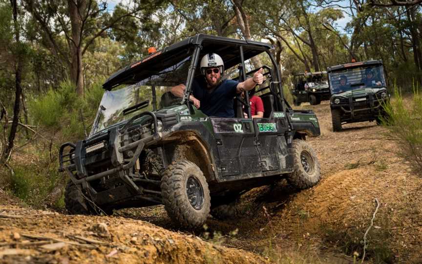 Oz Buggy Tours, Kingaham, QLD