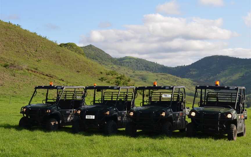 Oz Buggy Tours, Kingaham, QLD