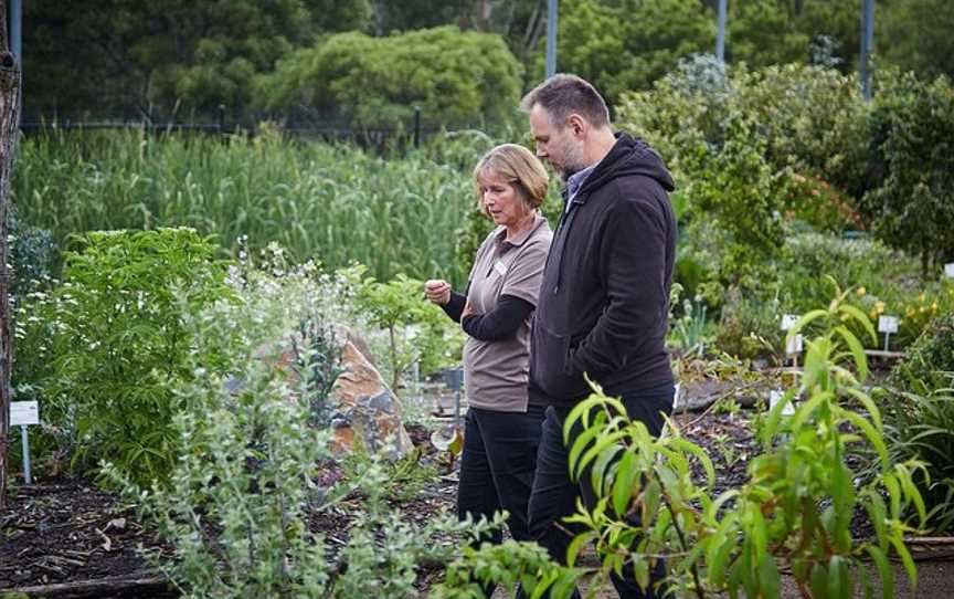 Edible Forest Yarra Valley, Dixons Creek, VIC