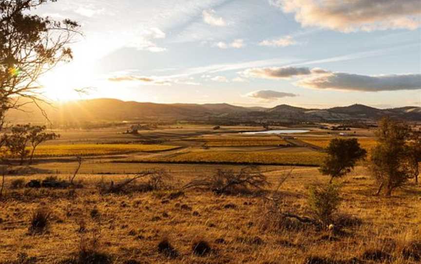 Nocton Vineyard, Richmond, TAS