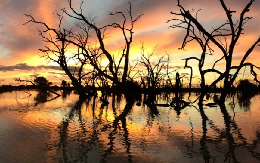 River Lady Tours, Menindee, NSW