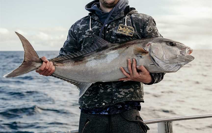 Reef Encounters Fishing Charters, Marion Bay, SA