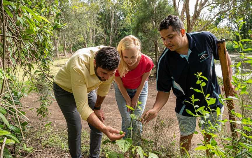 Taribelang Bunda Cultural Tours, Bundaberg, QLD