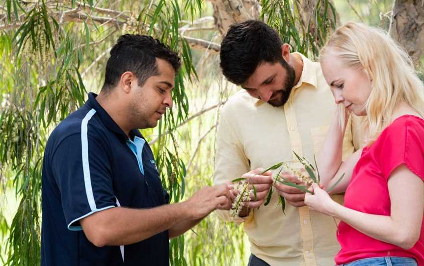 Taribelang Bunda Cultural Tours, Bundaberg, QLD