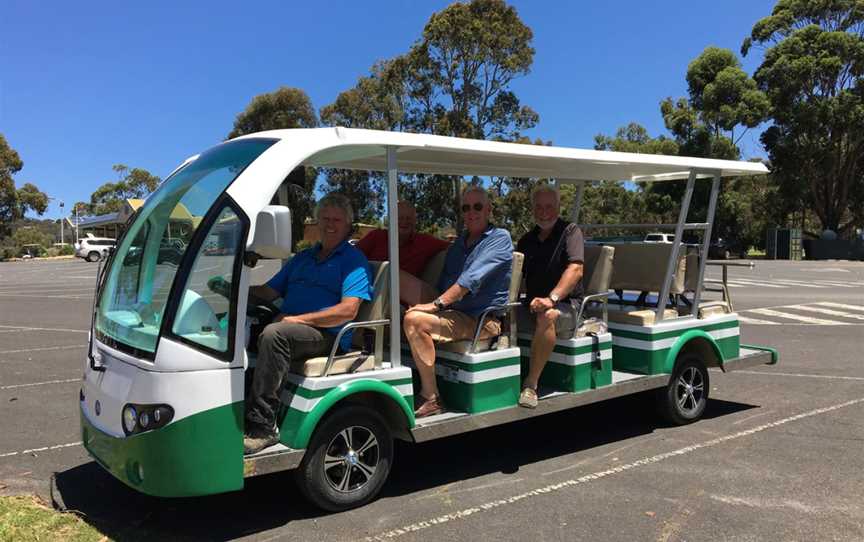 Kangaroo Viewing Tours Anglesea, Anglesea, VIC