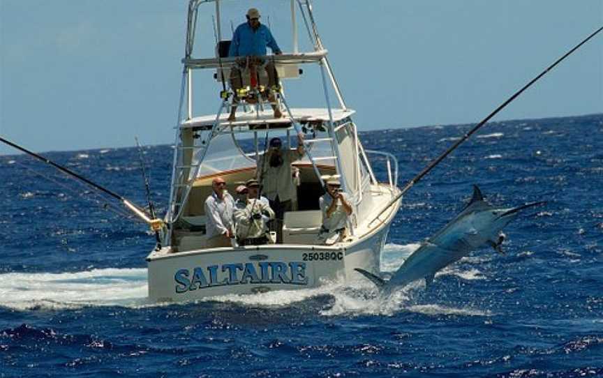 Saltaire Charters, Port Douglas, QLD