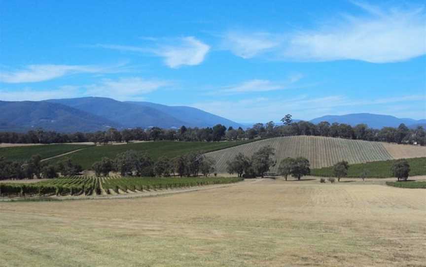 Yarra Valley Private Group Tours, Yarra Glen, VIC