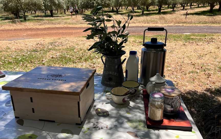 Forage Safaris, Busselton, WA