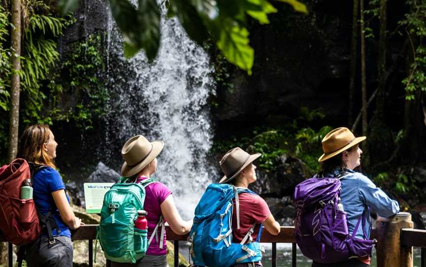 ParkTours, Beechmont, QLD